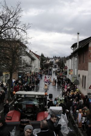 Rosenmontag2019 038