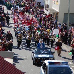 Rosenmontagszug 2011