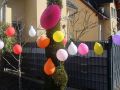 rosenmotag2025c