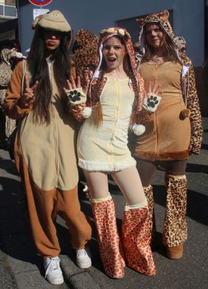 rosenmotag2025c