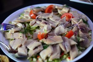 senatorenempfang20250055