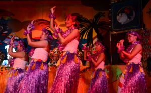 senatorensitzung2025c